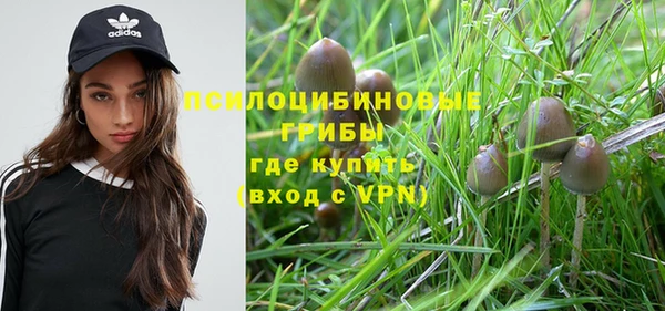 бутират Михайлов