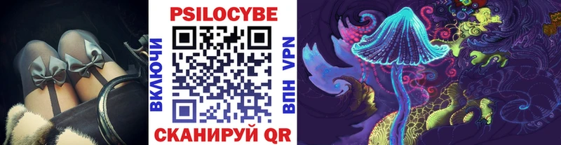 Псилоцибиновые грибы GOLDEN TEACHER  Купить закладки  Западная Двина 