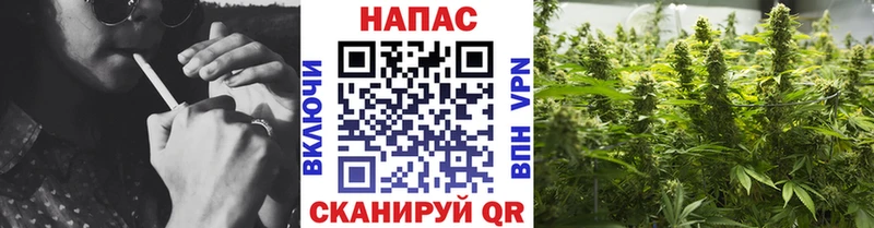 Купить закладки  Западная Двина  Марихуана тримм 